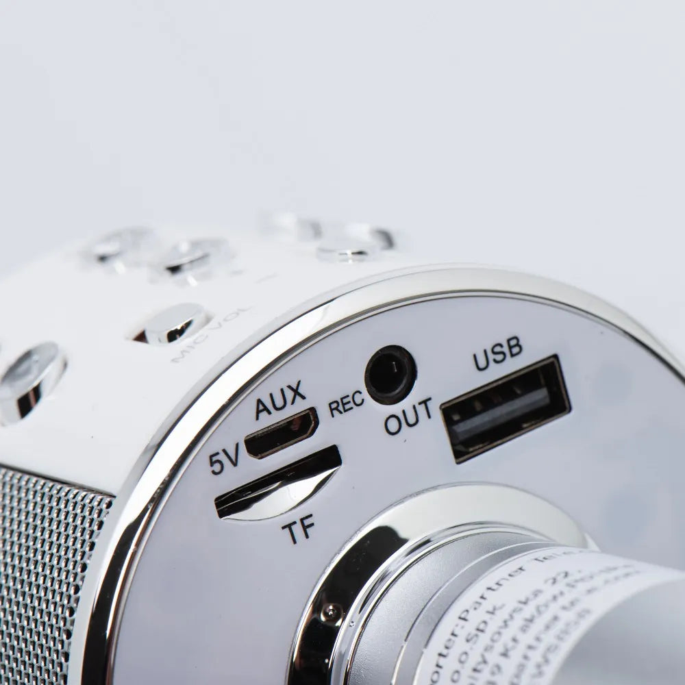 Multimedia Karaoke Microphone CR58 Silver | Bluetooth, Voice Changer - MIZO.at