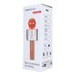Multimedia Karaoke Mikrofon CR58 – Bluetooth & Voice Changer Silber - MIZO.at