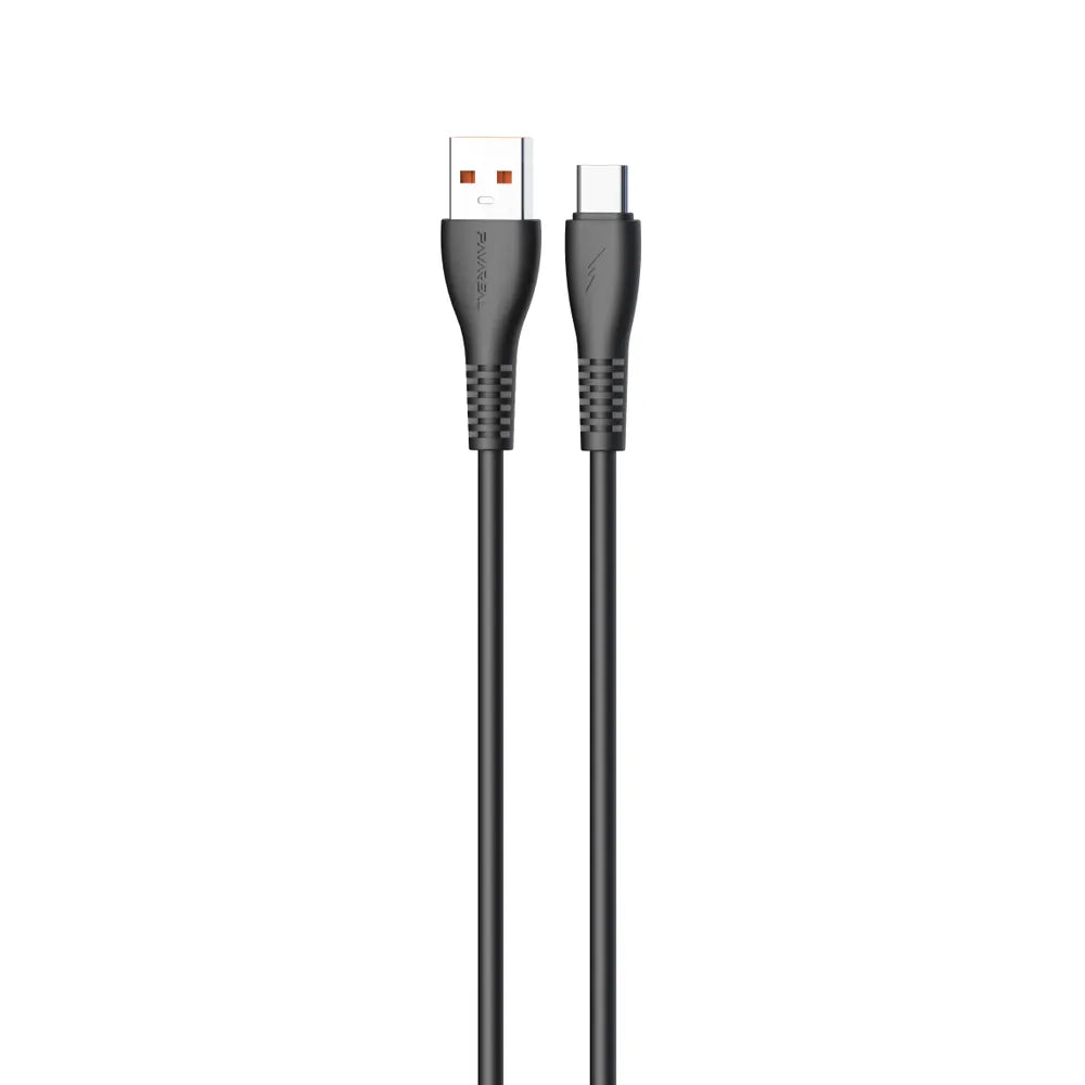 Pavareal USB to USB-C Cable | Black - MIZO.at