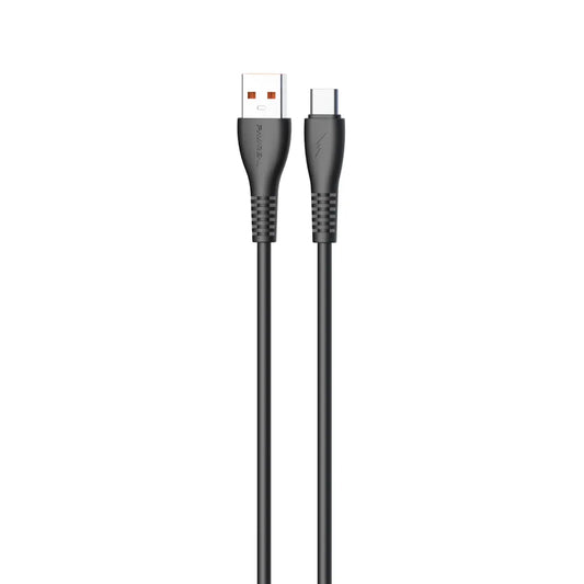 Pavareal USB zu USB-C Kabel – Schwarz Schnellladung Datensync - MIZO.at