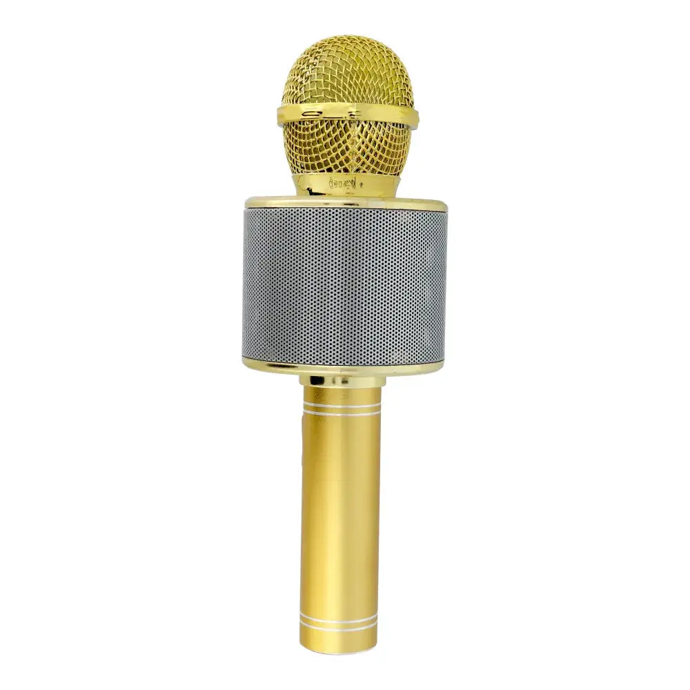 Multimedia Karaoke Microphone CR58 Gold | Wireless & High-Quality Sound - MIZO.at