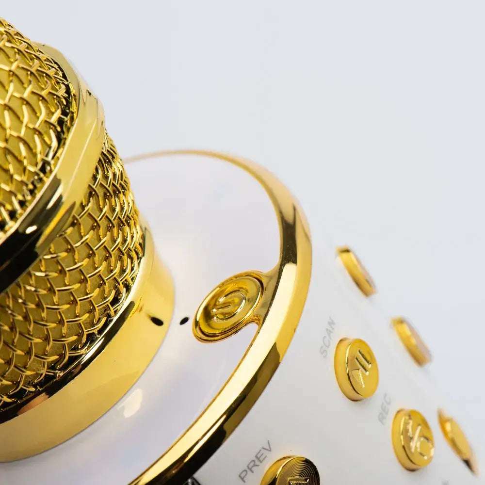 Multimedia Karaoke Microphone CR58 Gold | Wireless & High-Quality Sound