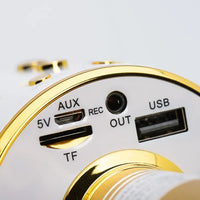 Multimedia Karaoke Microphone CR58 Gold | Wireless & High-Quality Sound - MIZO.at