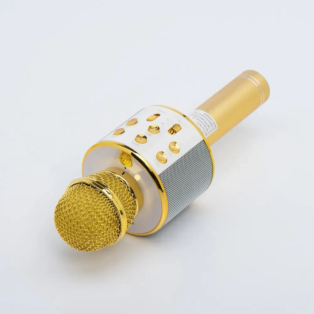 Multimedia Karaoke Microphone CR58 Gold | Wireless & High-Quality Sound - MIZO.at