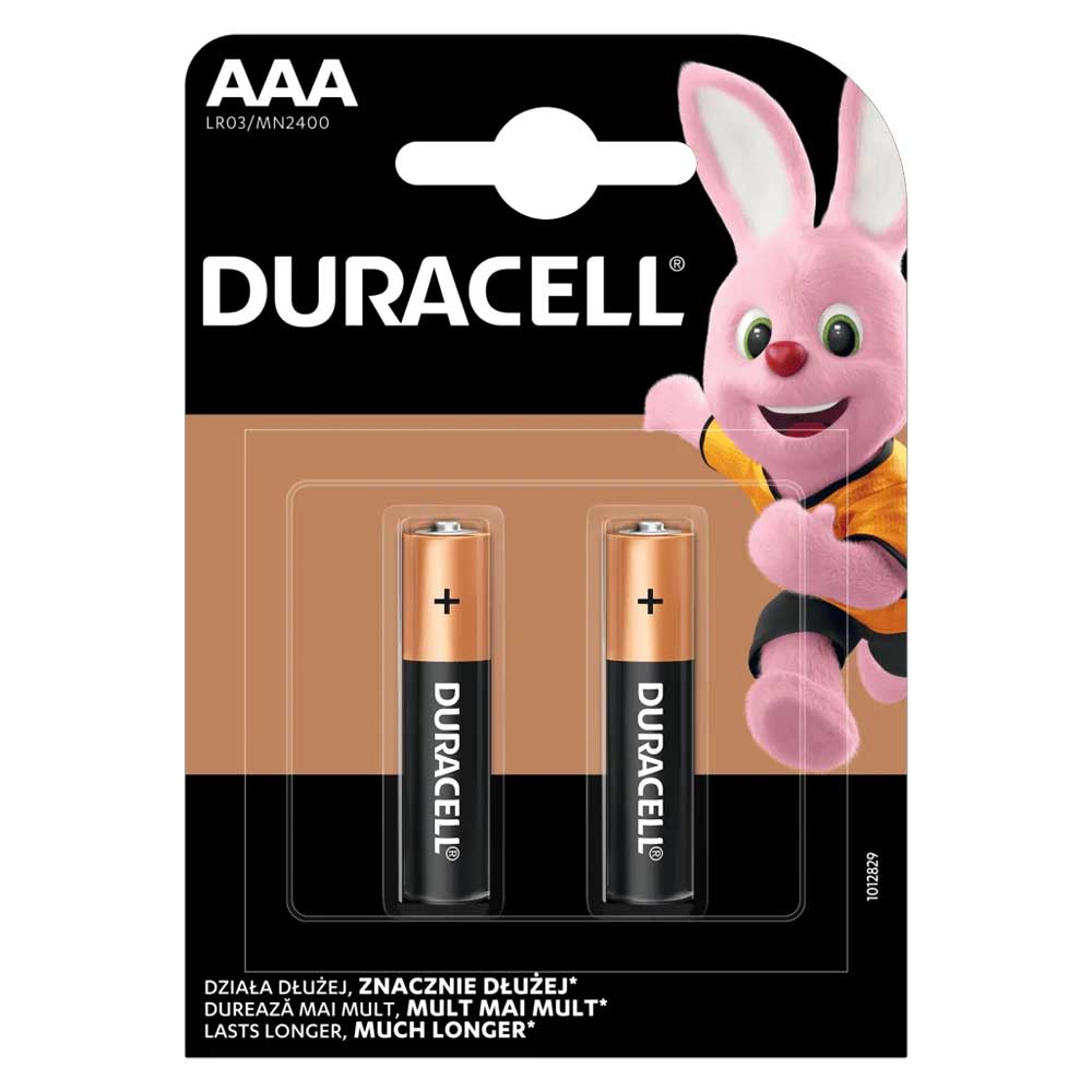2er Pack Duracell BASIC AAA LR03 Alkaline Batterien 1,5 V - MIZO.at